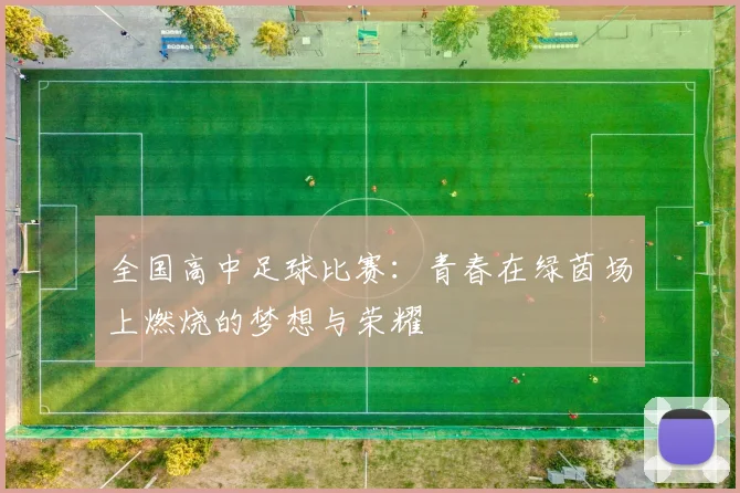 全国高中足球比赛:青春在绿茵场上燃烧的梦想与荣耀
