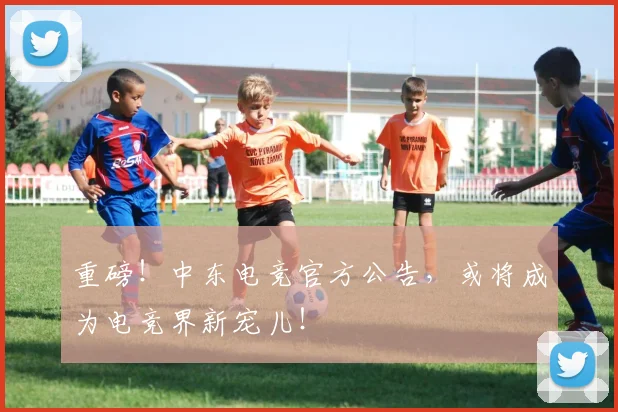重磅！中东电竞官方公告，或将成为电竞界新宠儿！