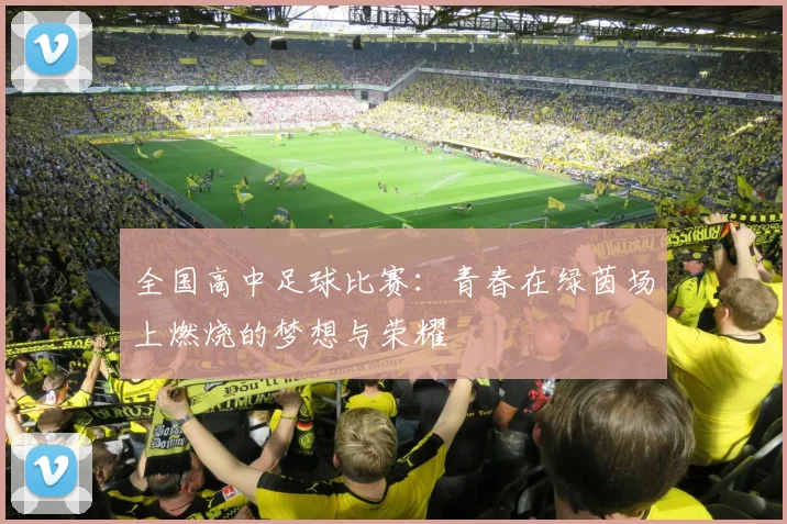 全国高中足球比赛：青春在绿茵场上燃烧的梦想与荣耀
